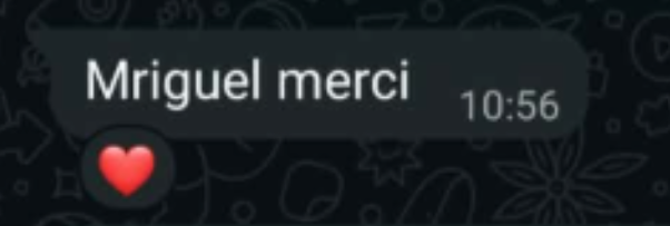 تقييم عميل 13